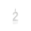 14K White Gold Small Satin Number 2 Charm