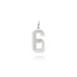 14K White Gold Small Satin Number 6 Charm
