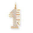 14K Gold #1 Son Charm