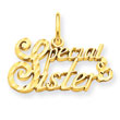 14K Gold Special Sister Charm