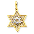 14K Two-Tone Gold  Solid Polished Meshed Star of David Charm