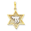 14K Gold & Rhodium Mesh Star Of David with Chai Pendant