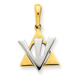 14K Gold Star of David With Shin Charm