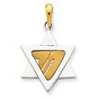 14K Two-Tone Gold Star of David Pendant