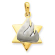 14K Two-Tone Gold Star of David Pendant