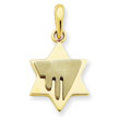 14K Two-Tone Gold Chai on Star of David Pendant