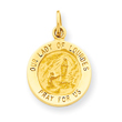 14K Gold Our Lady of Lourdes Medal Charm