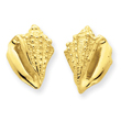 14K Gold Conch Shell Earrings
