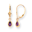 14K Gold Amethyst Earrings - February