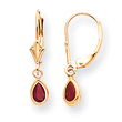 14K Gold Ruby Earrings - July
