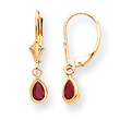 14K Gold Ruby Earrings - July