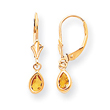 14K Gold Citrine Earrings - November