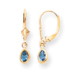 14K Gold Blue topaz Earrings - December