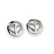 Stainless Steel CZ Earrings