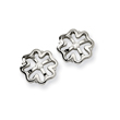 Stainless Steel CZ Earrings