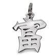 Sterling Silver "Wealth" Kanji Chinese Symbol Charm